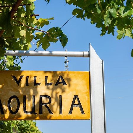 Villa Mouria Pinakokhorion Ngoại thất bức ảnh